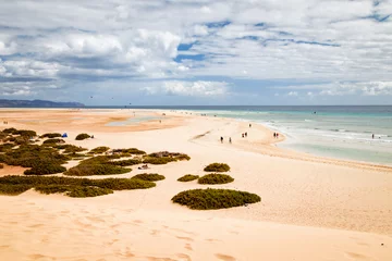 Cercles muraux Plage de Sotavento, Fuerteventura, Îles Canaries La belle plage de sable de Risco del Paso à Fuerteventura