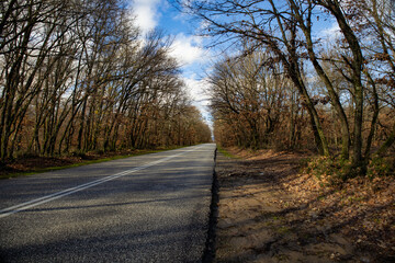 Fototapeta premium Roard at Grevena, Greece, between the forest