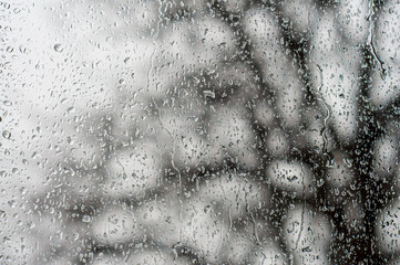 A pessimistic tree outside a wet window. Dull mood, gray sky and branches. Drops on glass, defocus