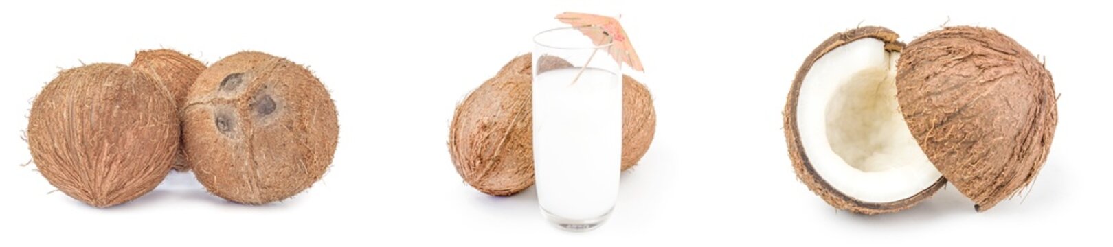 Collage of coconut on a isolated white background