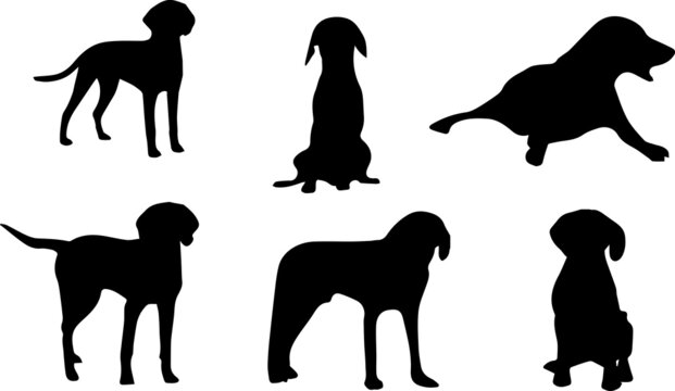 American Foxhound Dog Silhouette Bundle SVG