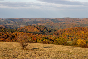 autumn landscape in the mountains