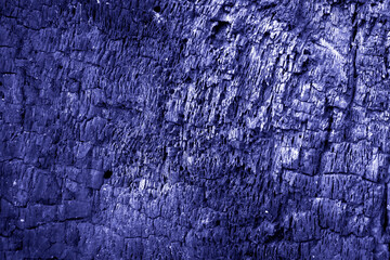 Burnt wood texture closeup. Toned in Very peri Color of the Year 2022