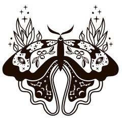 Boho butterfly line vector set. Beautiful moth vector illustration, celestial element illustration. Vector, illustration