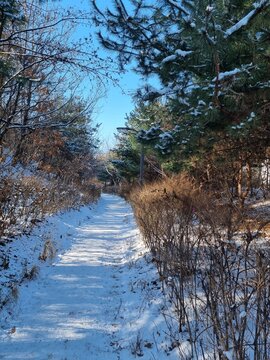 snowy park in YangChon
