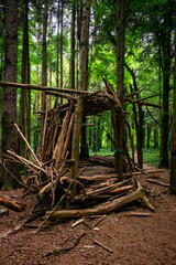 Fototapeta na wymiar structure build in lush Irish Forest