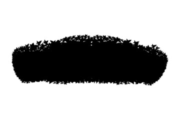 Set of monochrome silhouette of shrubs and trees. Decorative design element in black and white colors.Horizontal panorama with thicket of  garden plants.