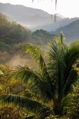 Tropical forest, Costa Rica