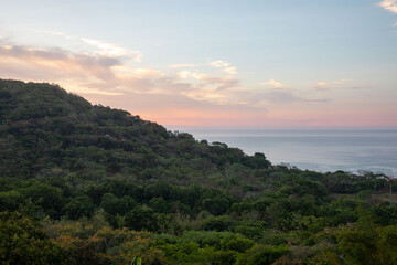Tropical forest, Costa Rica