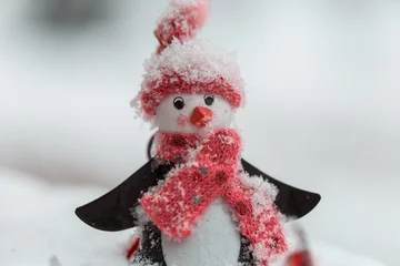 Tragetasche Snowman © Galyna Andrushko