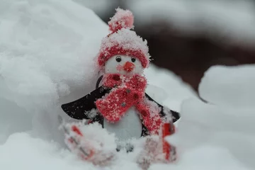 Fotobehang Snowman © Galyna Andrushko