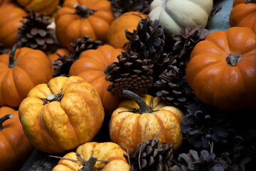 Pumpkins background. suitable for thanksgiving, christmas, halloween themes