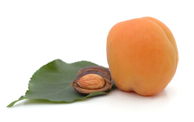 One apricot with seed and leaf.