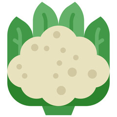 cauliflower flat icon