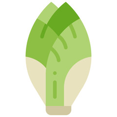 endive flat icon