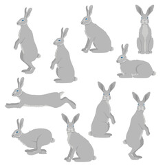  Rabbit or hare isolated vector set © Igor