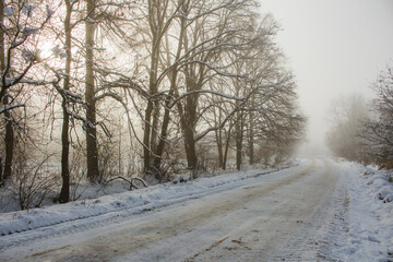 Obraz premium road