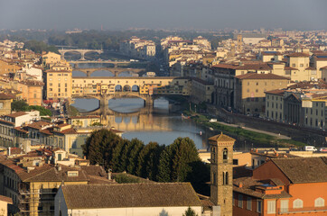 Fototapeta na wymiar 高台から見たフィレンツェの街並