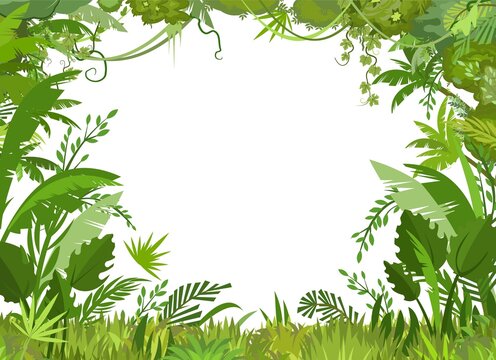 Jungle frame. Green tropical trees, herbs and shrubs. Flat cartoon style. Green exotic landscape. Isolated on white background. In the foreground is a meadow. Vector.