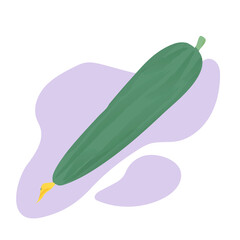 Cucumber illustration isolated on background. Green cucumber