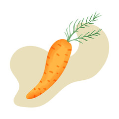 Carrot illustration. Simple hand drawn style. Vector