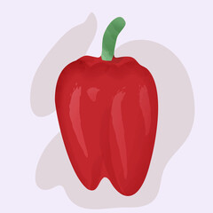 Red sweet bell pepper, on a colored background