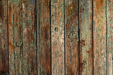 The gradient of the sun on an old fence. The texture of the old fence. Old cracked board. Old paint on the fence. Copy space.