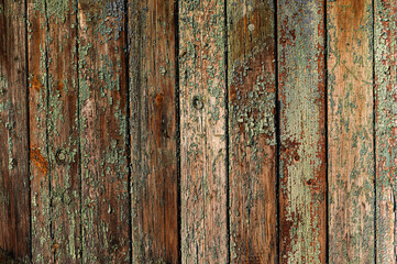 The gradient of the sun on an old fence. The texture of the old fence. Old cracked board. Old paint on the fence. Copy space.