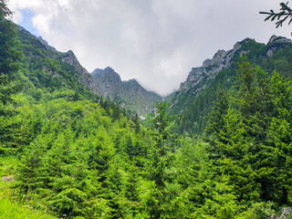 Fototapeta na wymiar Bucsoiu Valley, Bucegi Mountains, Romania 