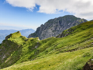 Fototapeta na wymiar mountain landscape in summer, Bucsoiu Peak, Bucegi Mountains, Romania 