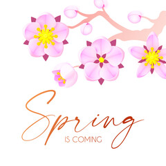 Spring is comming. Cute flower design. Apple tree and sakura blossom