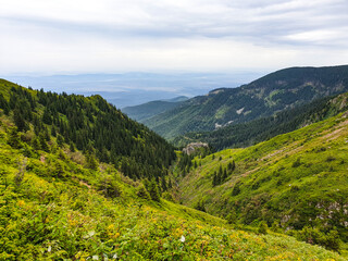 Naklejka premium landscape in the summer, Moasei Valley, Fagaras Mountains, Romania 