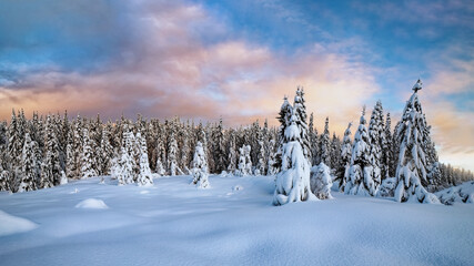 Colorful sunset over winter landscape with snow covered forest .