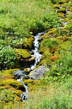 Moses' springs are springs of water interesting falling down from stone wall on south-west downhill of mountain Hromove in Mala Fatra, Slovakia