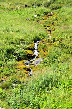 Moses' springs are springs of water interesting falling down from stone wall on south-west downhill of mountain Hromove in Mala Fatra, Slovakia