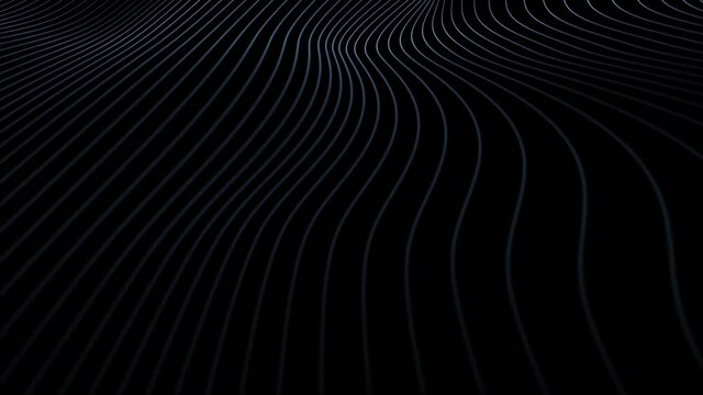 Curvy blue white curved lines pattern on black magic background. Seamless loop.
