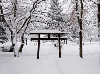 雪に覆われた鳥居