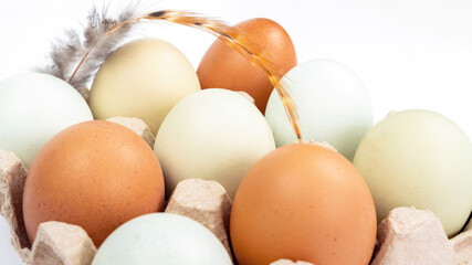 Packaging with organic chicken eggs isolated on a white background. Multicolored farm eggs close-up.