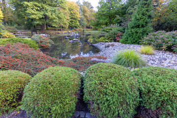 Japanese Garden in  Szczytnicki Park, exotic plants, Wroclaw, Poland.