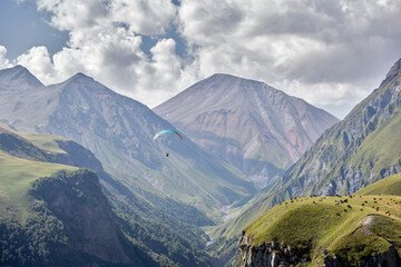 People on a paraglider fly over a mountain gorge with a river flowing along its bottom. A herd of cows grazes in an alpine meadow. Sunny weather with white cumulus clouds on the blue sky.