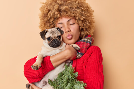Lovely woman with curly hair keeps eyes closed blows mwah cuddles pedigree dog expresses love dressed in knitted red sweater and scarf around neck holds green spurce branches isolated on beige wall