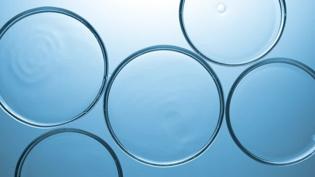 Top view macro shot of clear drops are falling in multiple petri dishes with clear liquid on blue background | Abstract face care cosmetics mixing concept