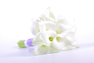 Bridal bouquet of snow-white mini calla lilies on a light background