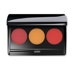 Makeup matte blush palette container. Compact blusher kit. Open make-up product case. Realistic vector illustration