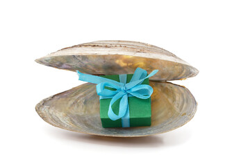 Fototapeta na wymiar Beautiful gift in a shell.
