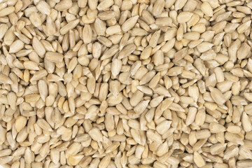 Peeled sunflower seeds background texture