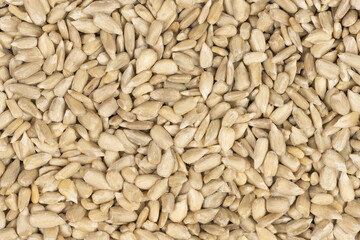 Peeled sunflower seeds background texture