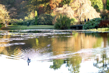 Fototapeta premium KONICA MINOLTA DIGITAL CAMERA