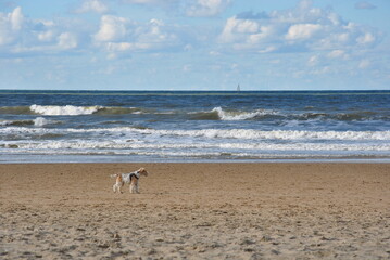 Scheveningen, The Netherlands. Scheveningen beach. north sea coast