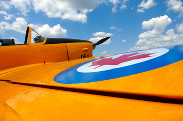 Canadian Air Force trainer aircraft.
